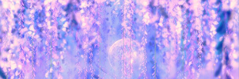 Kaitlin K. banner