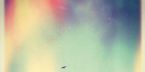 Bo_gestelx's profile banner image
