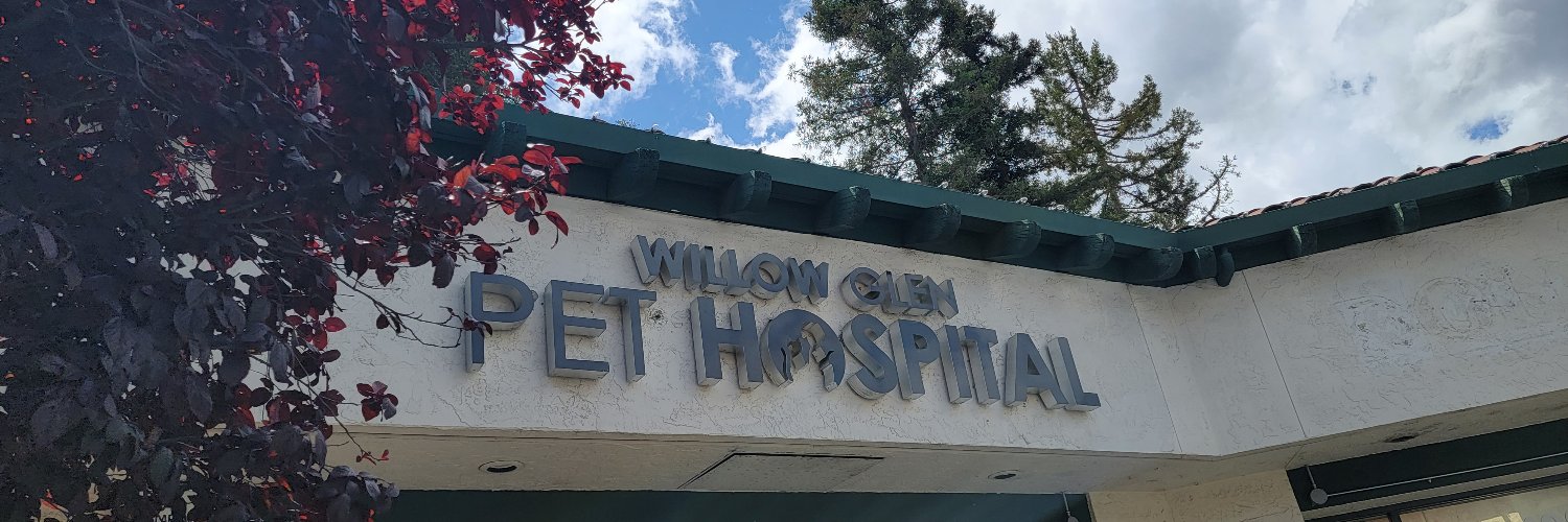 WGPetHospital's profile banner image