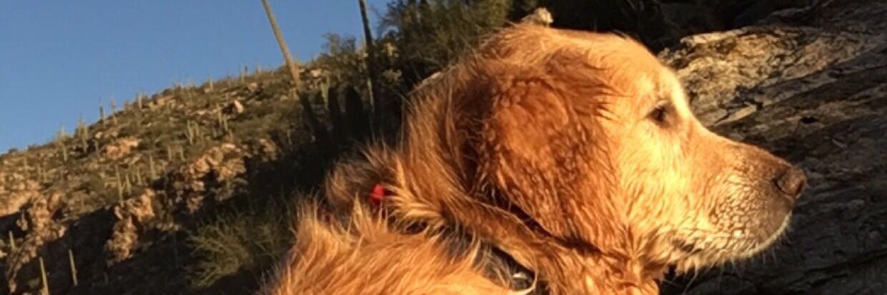 MaxChristof's profile banner image