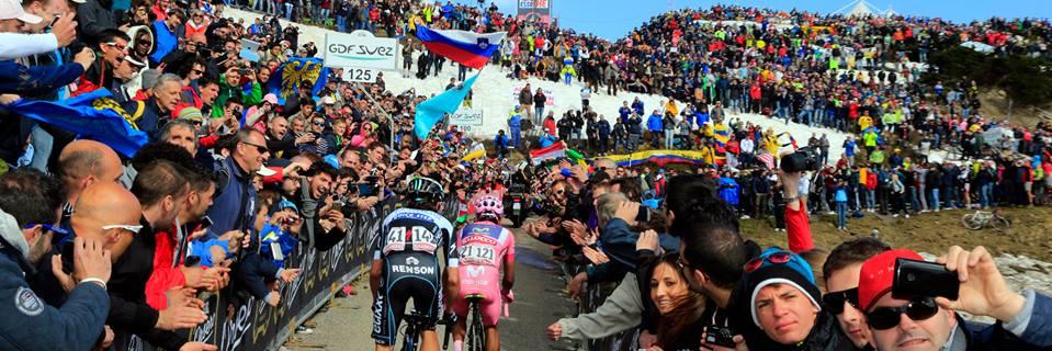 Larcruz's profile banner image