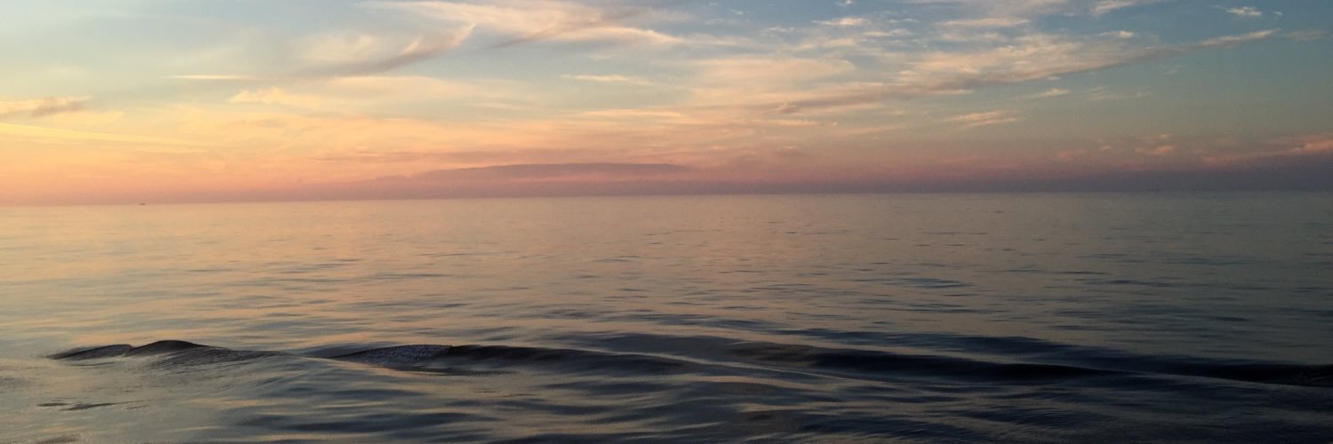 SeriouslyBones's profile banner image