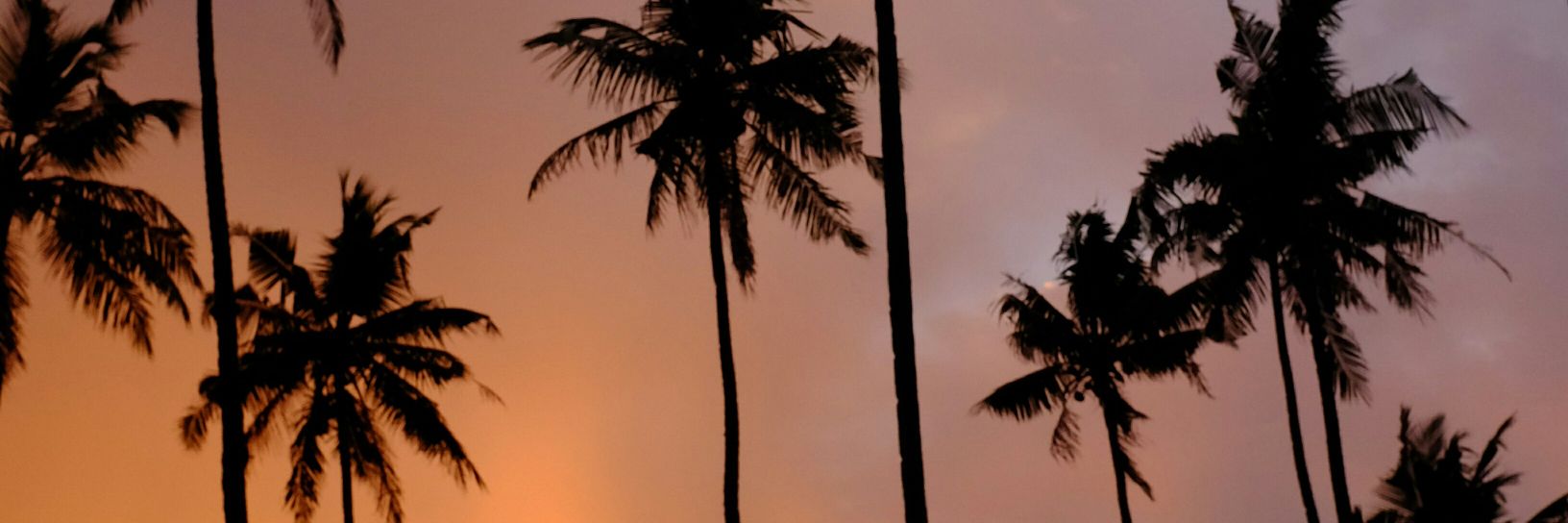 EQuemener's profile banner image