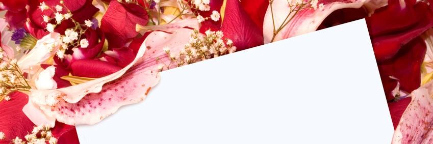 Inventive_MOmmy's profile banner image