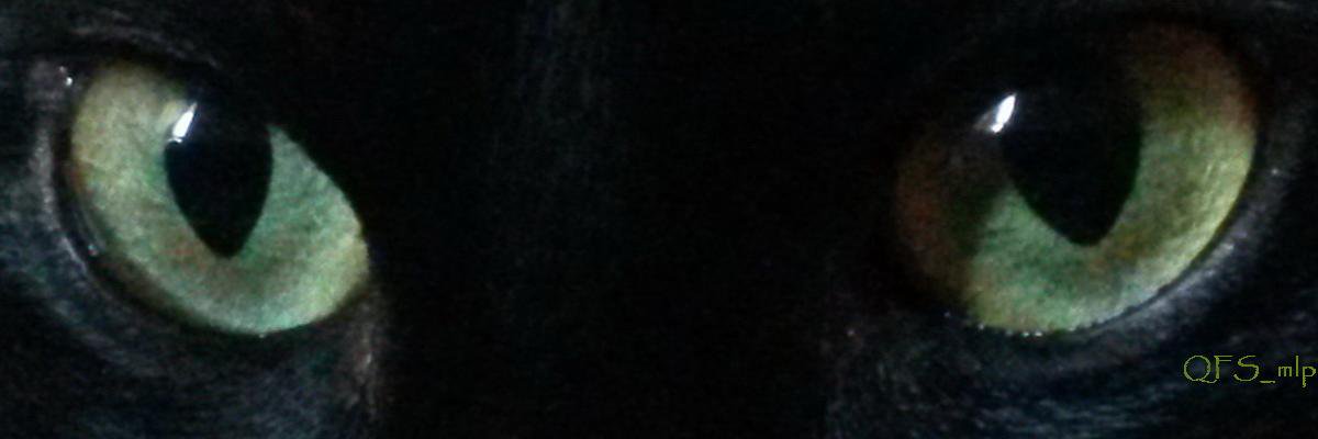 QueenFaee's profile banner image