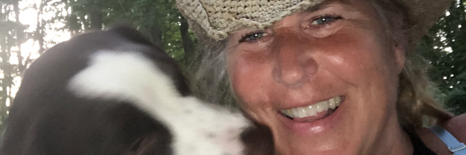 MrsGeissler's profile banner image