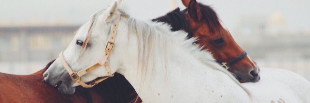 talall909's profile banner image