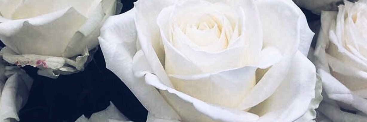 Laura Lempika banner