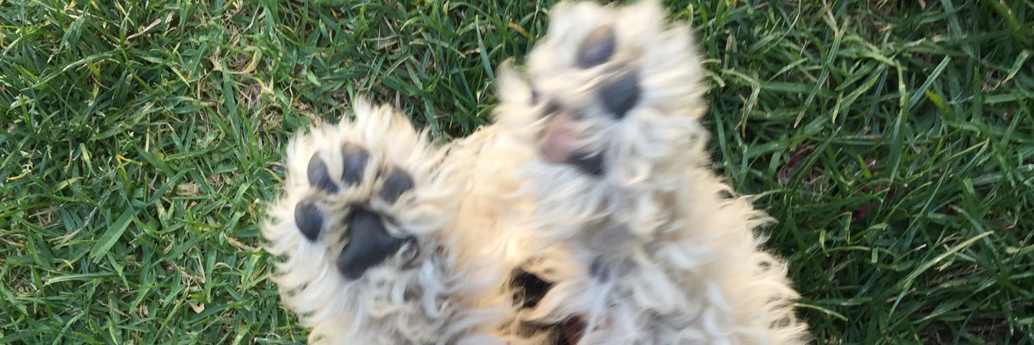 very_jen's profile banner image