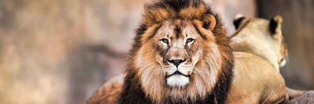 Envy_No_Man🤝 banner