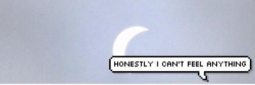 Nastya. banner