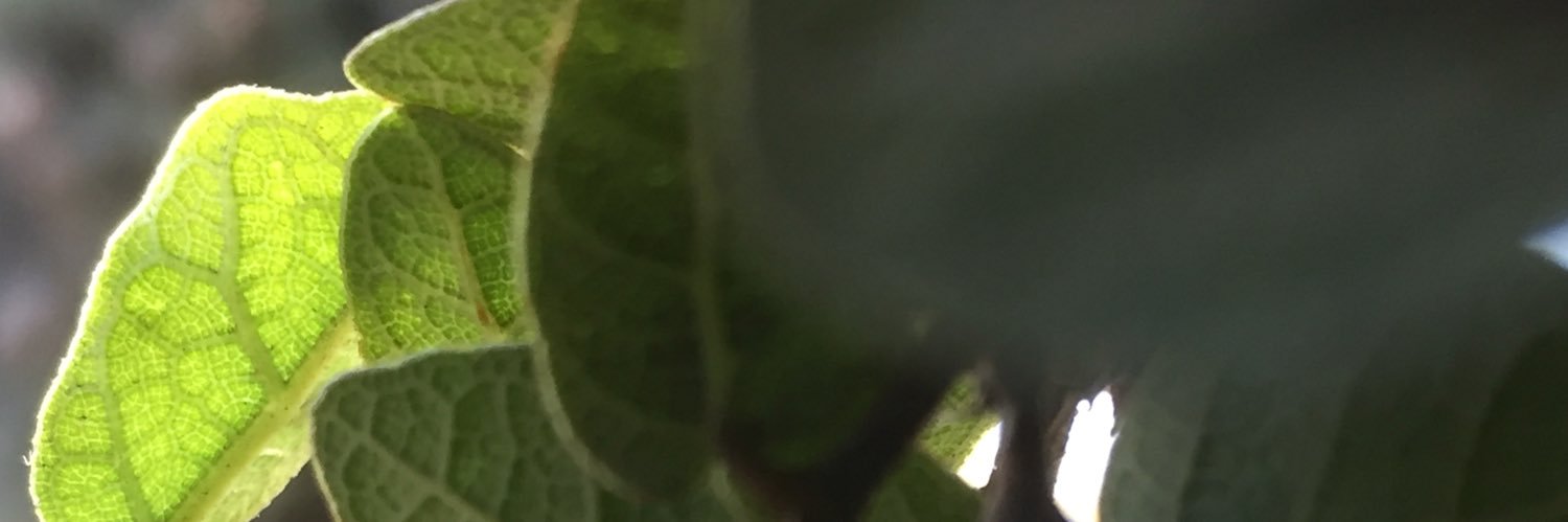 J_Ponce01's profile banner image
