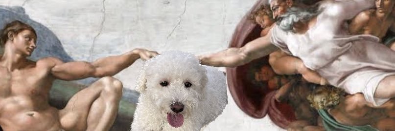 carolfbx's profile banner image