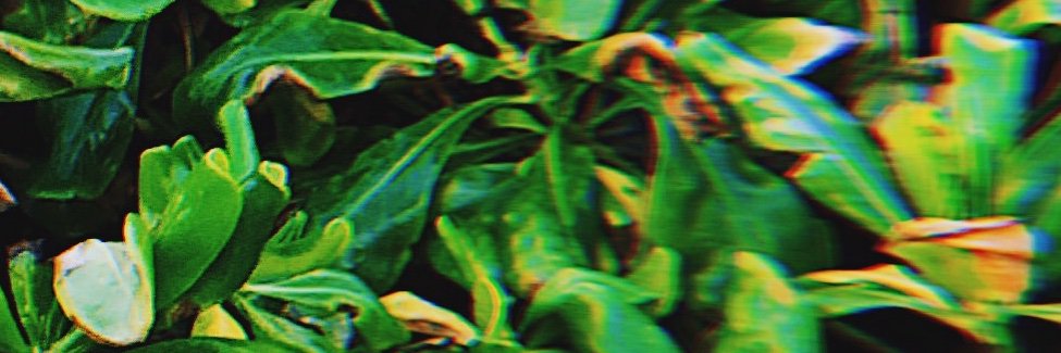 NativesApparel_'s profile banner image