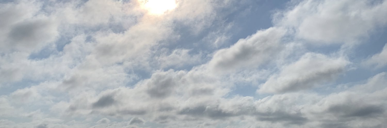 mtillitski's profile banner image