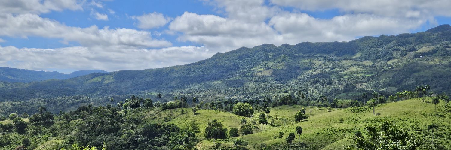 Ricardo Block banner