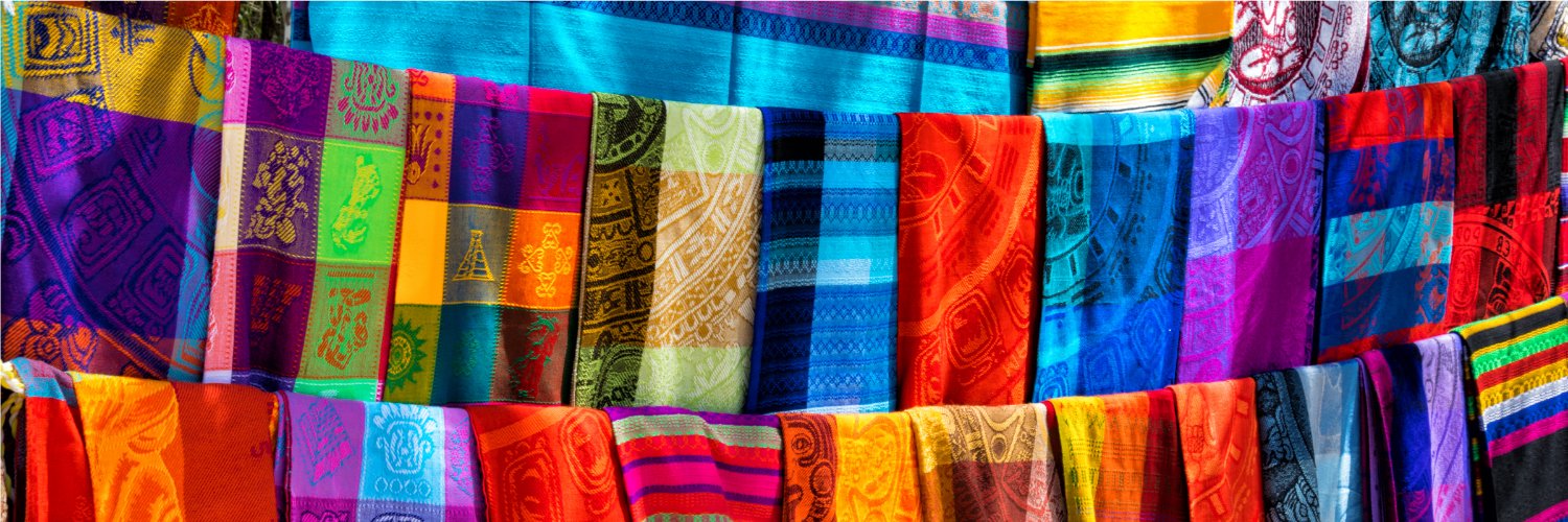 Latin American Studies Association banner