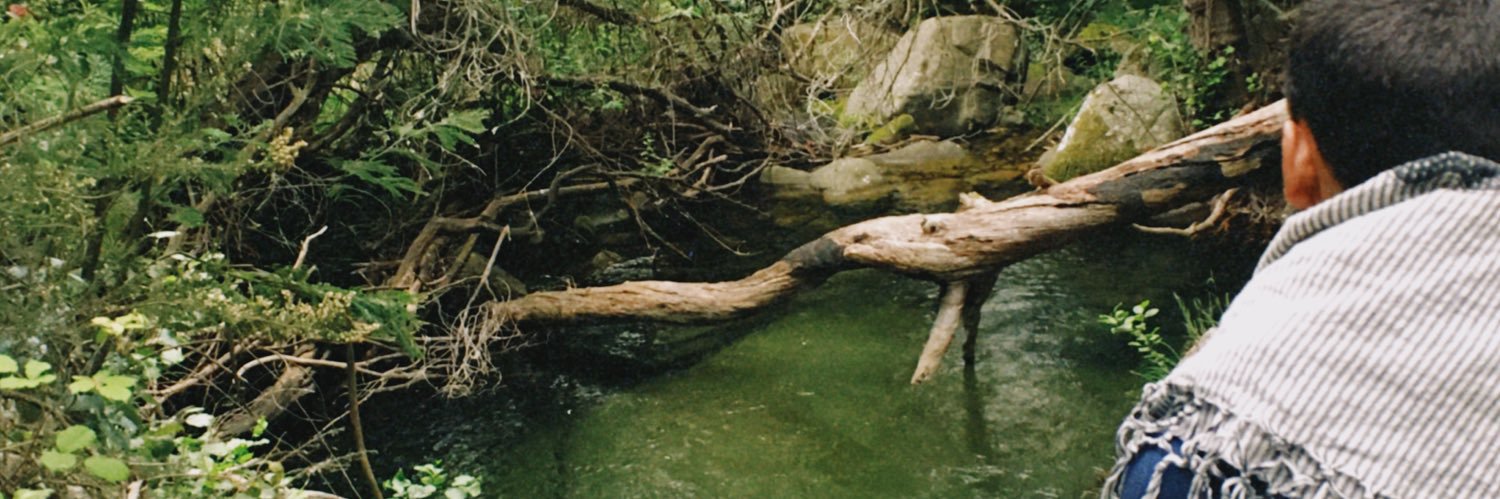 bbarroqueiro_'s profile banner image