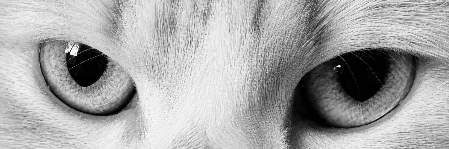 m4rb13x's profile banner image
