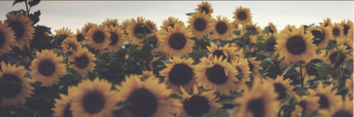 BeccaFossum's profile banner image