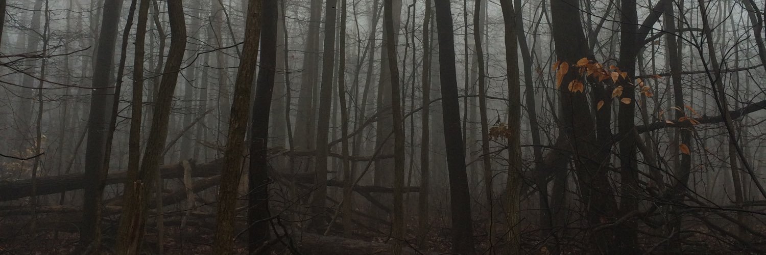 22hopeford's profile banner image