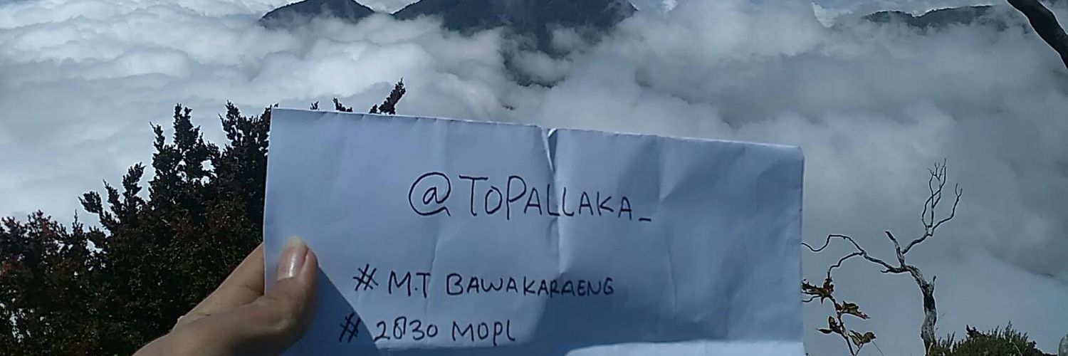 ToPallaka_'s profile banner image