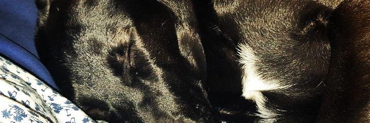 andoni_94's profile banner image