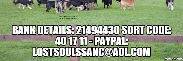 lost_souls10's profile banner image