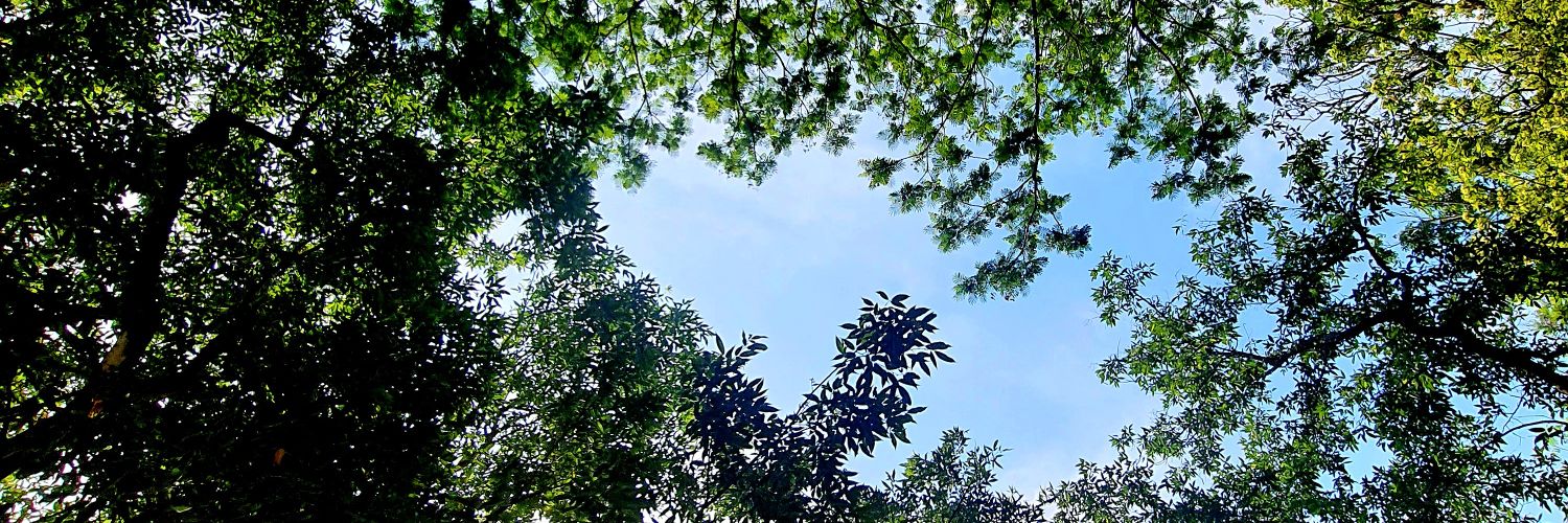 juustchangess's profile banner image