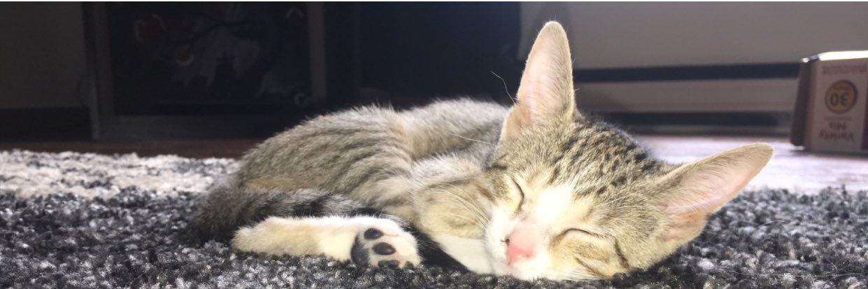 E_Fiitzy's profile banner image