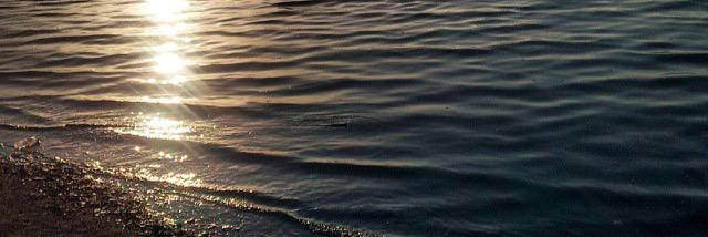 al___arheel's profile banner image