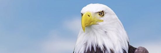 debbieslugo's profile banner image