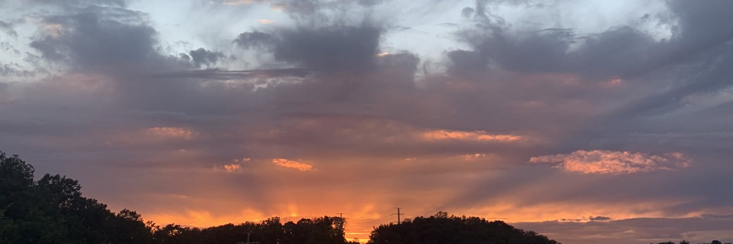 nataliewillett8's profile banner image