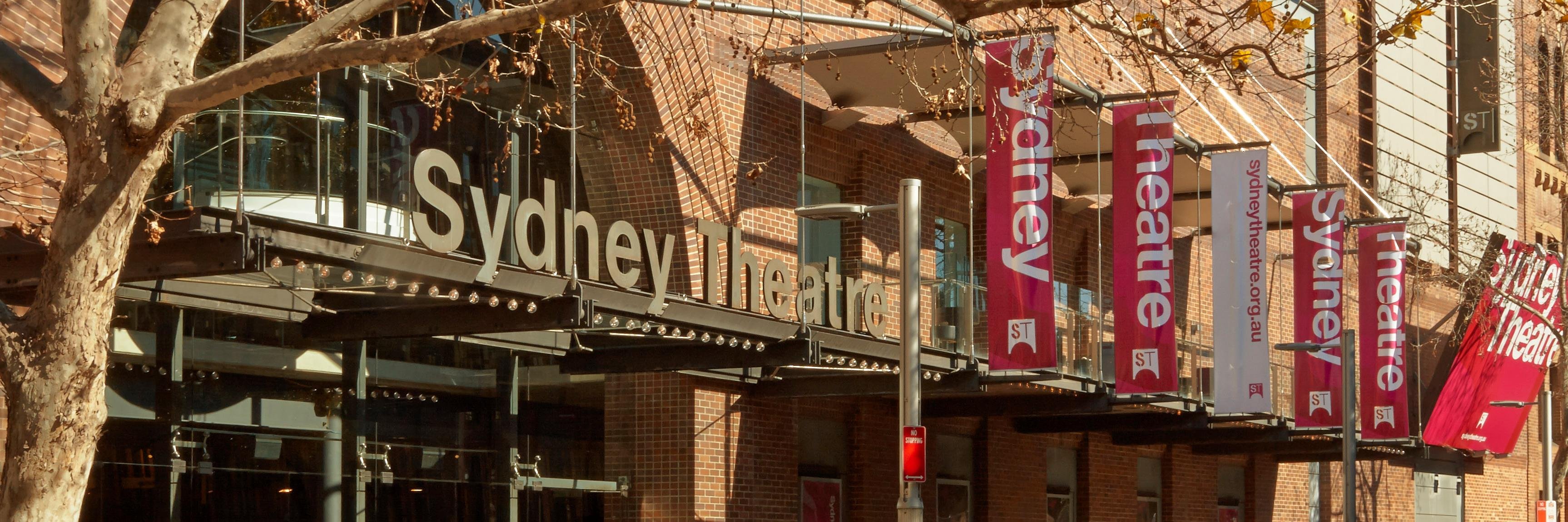 RoslynPacker Theatre banner
