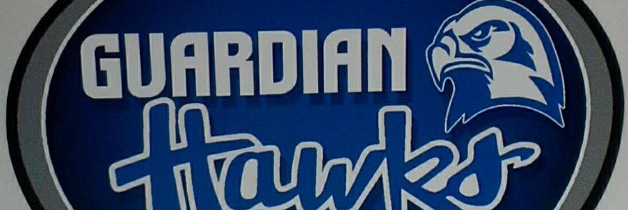 GuardianHawks's profile banner image
