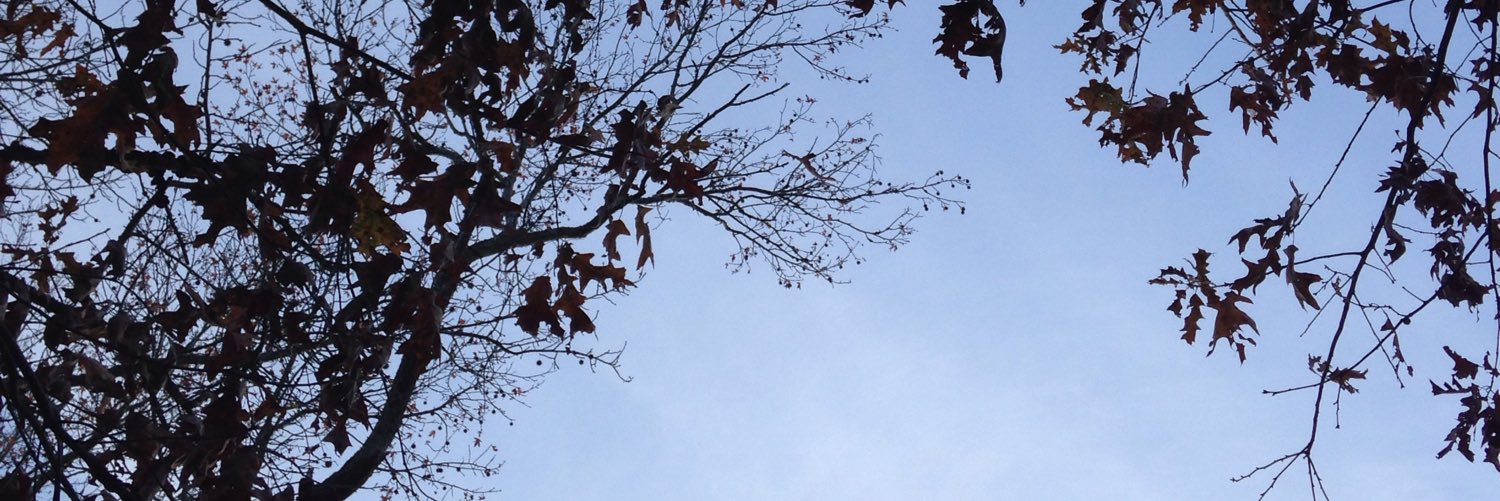 _nethy123's profile banner image