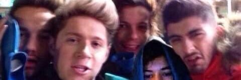 diana ◔◡◉ 🐣 banner