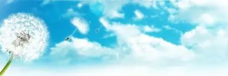 AliceLo(꧁IP꧂) banner