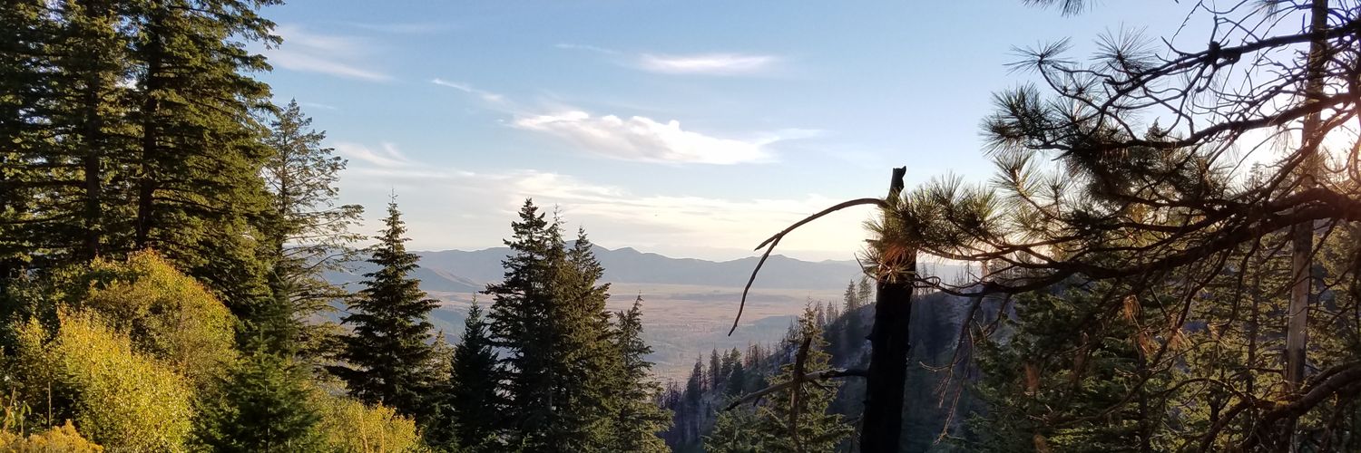 idratherbebgftn's profile banner image