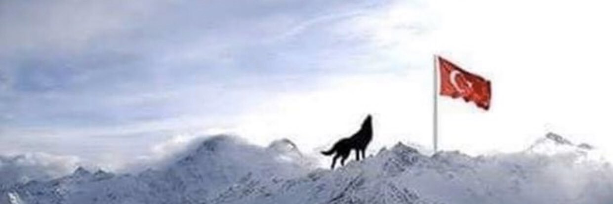 cavus_4's profile banner image