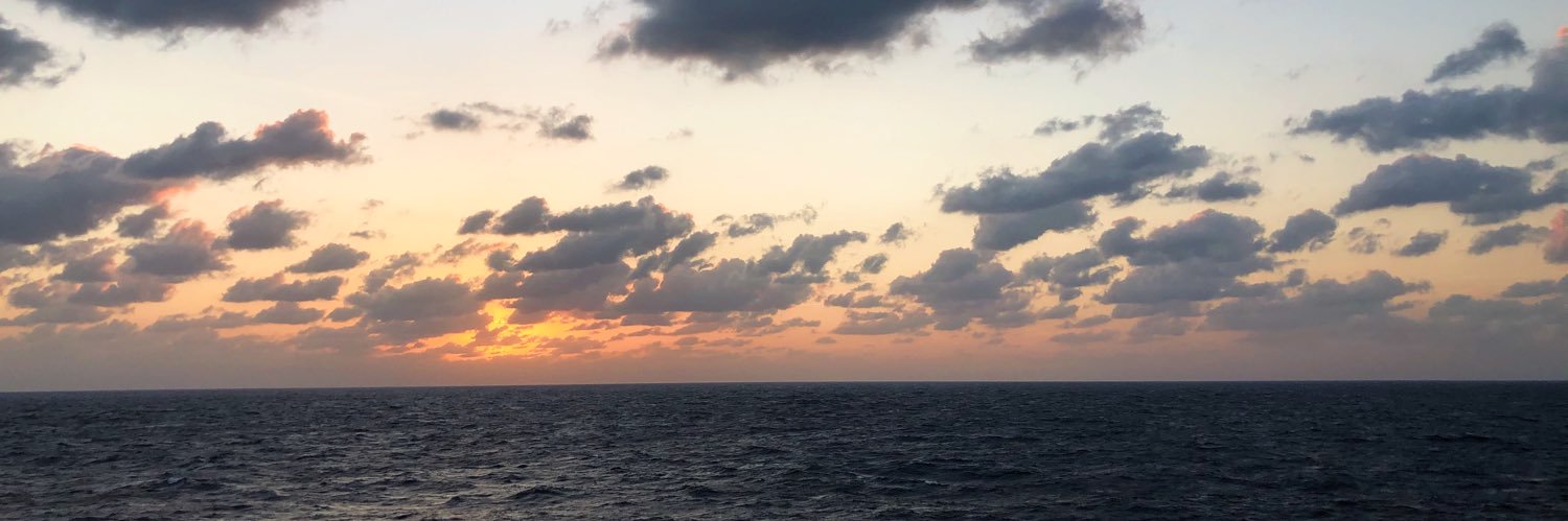 Meg_Dav33's profile banner image