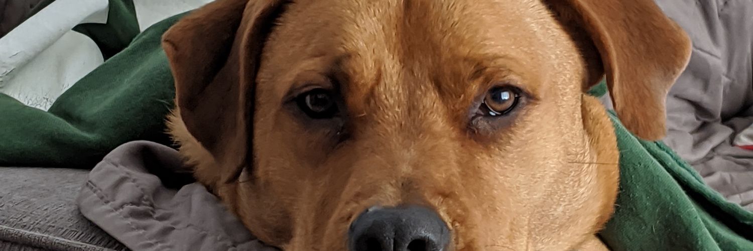 cvertin's profile banner image