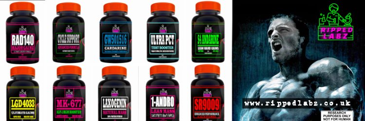 RippedLabzUK's profile banner image