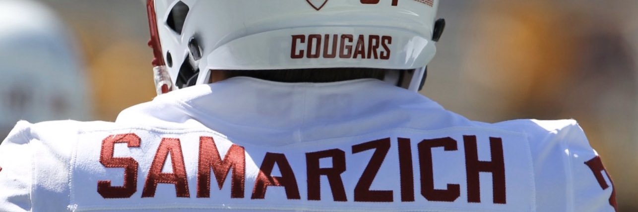 Dave Samarzich banner