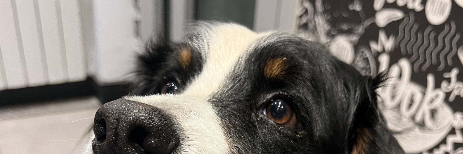 PaulKrupnik's profile banner image