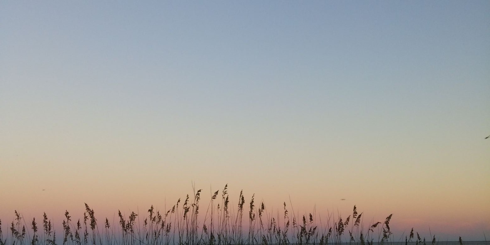 346_864's profile banner image