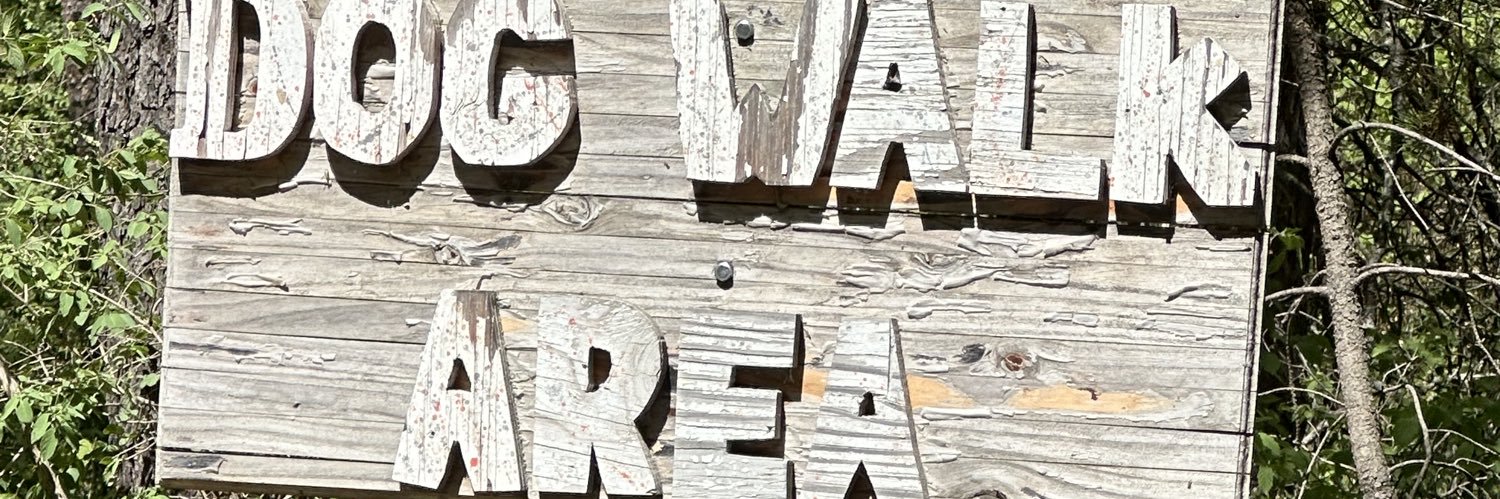 chloemajora's profile banner image