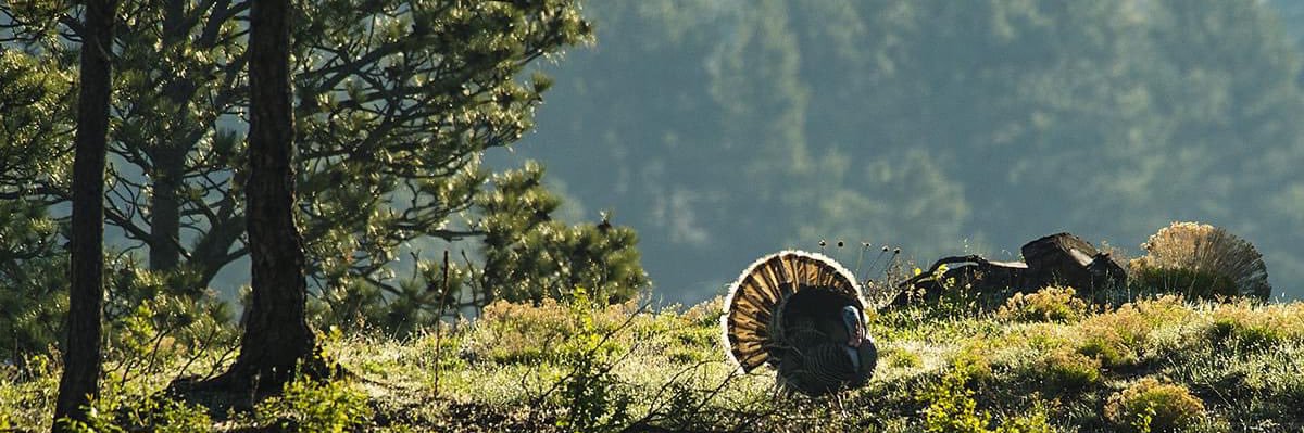 noahjohnson91's profile banner image