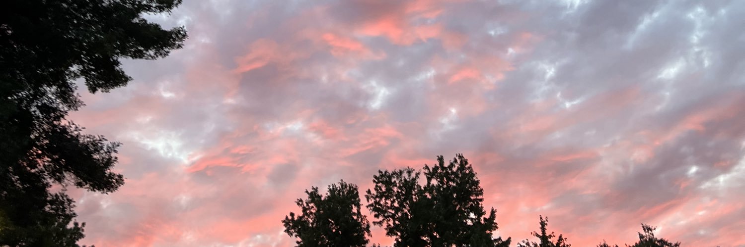 summer♡ banner