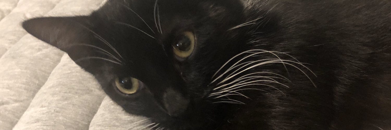MarpantsHeaps's profile banner image